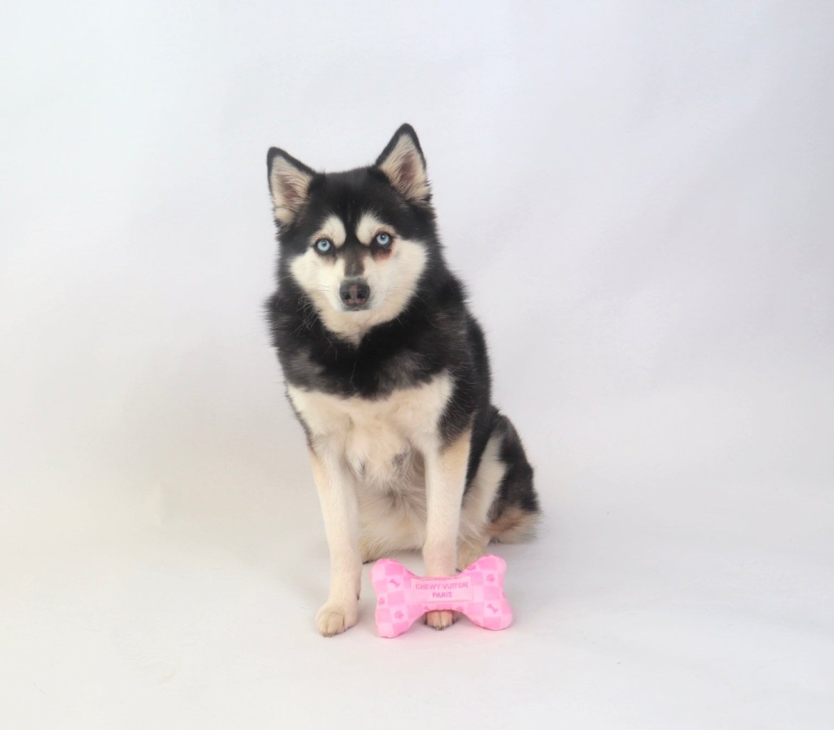 Checker Chewy Vuiton Dog Bone Toy - Pink - Designer Toys from Haute Diggity Dog at DoggyTopia