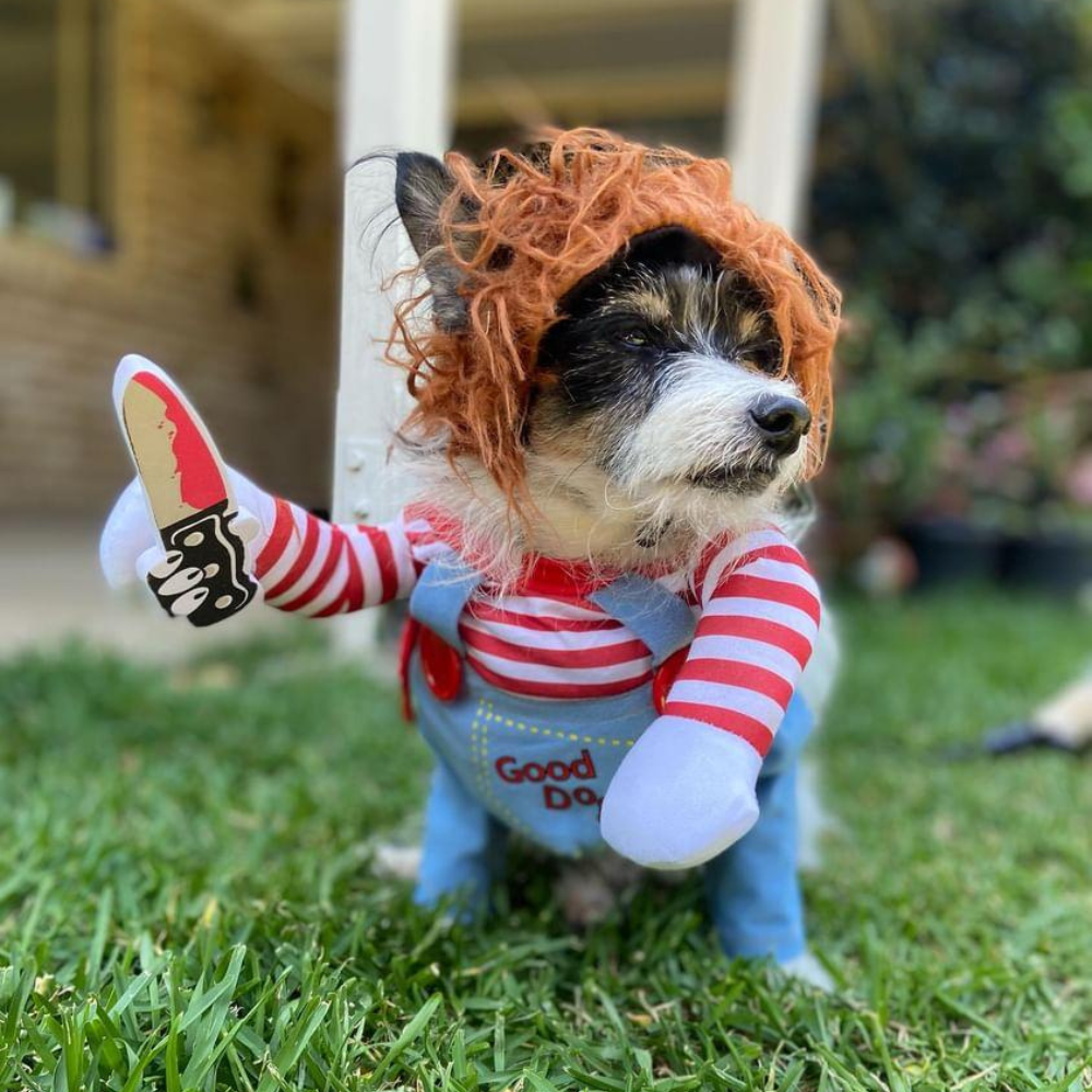 Chucky Dog Costume - Costumes from Halloween at DoggyTopia