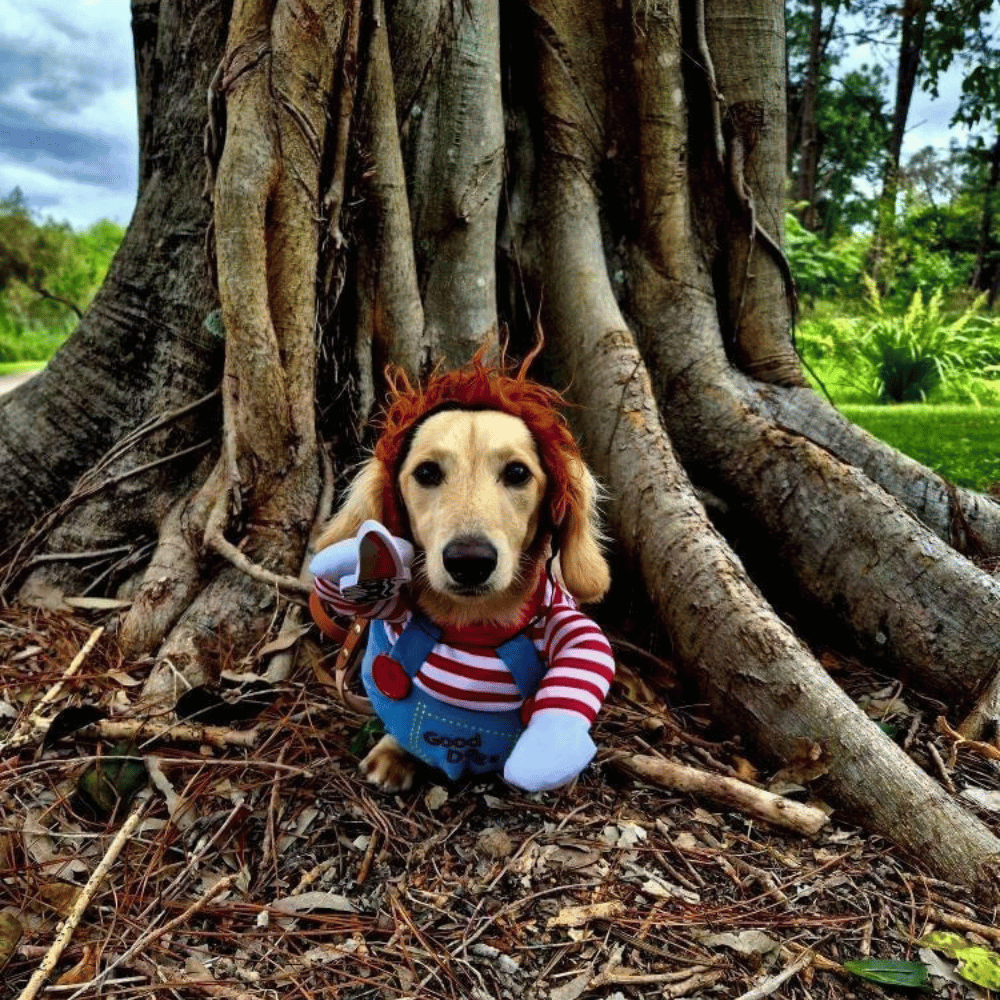 Chucky Dog Costume - Costumes from Halloween at DoggyTopia