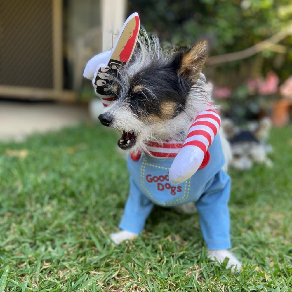 Chucky Dog Costume - Costumes from Halloween at DoggyTopia