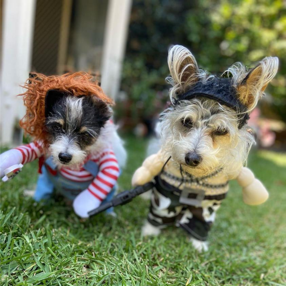 Chucky Dog Costume - Costumes from Halloween at DoggyTopia