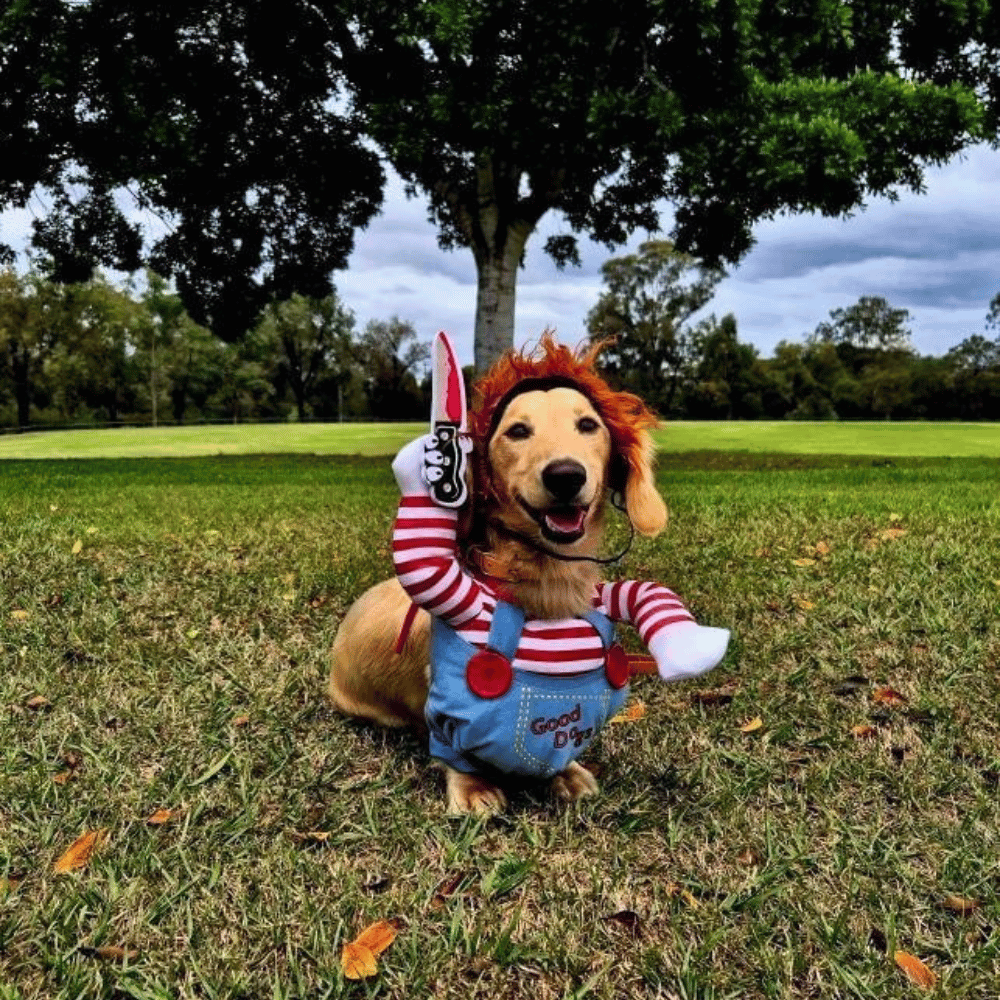 Chucky Dog Costume - Costumes from Halloween at DoggyTopia