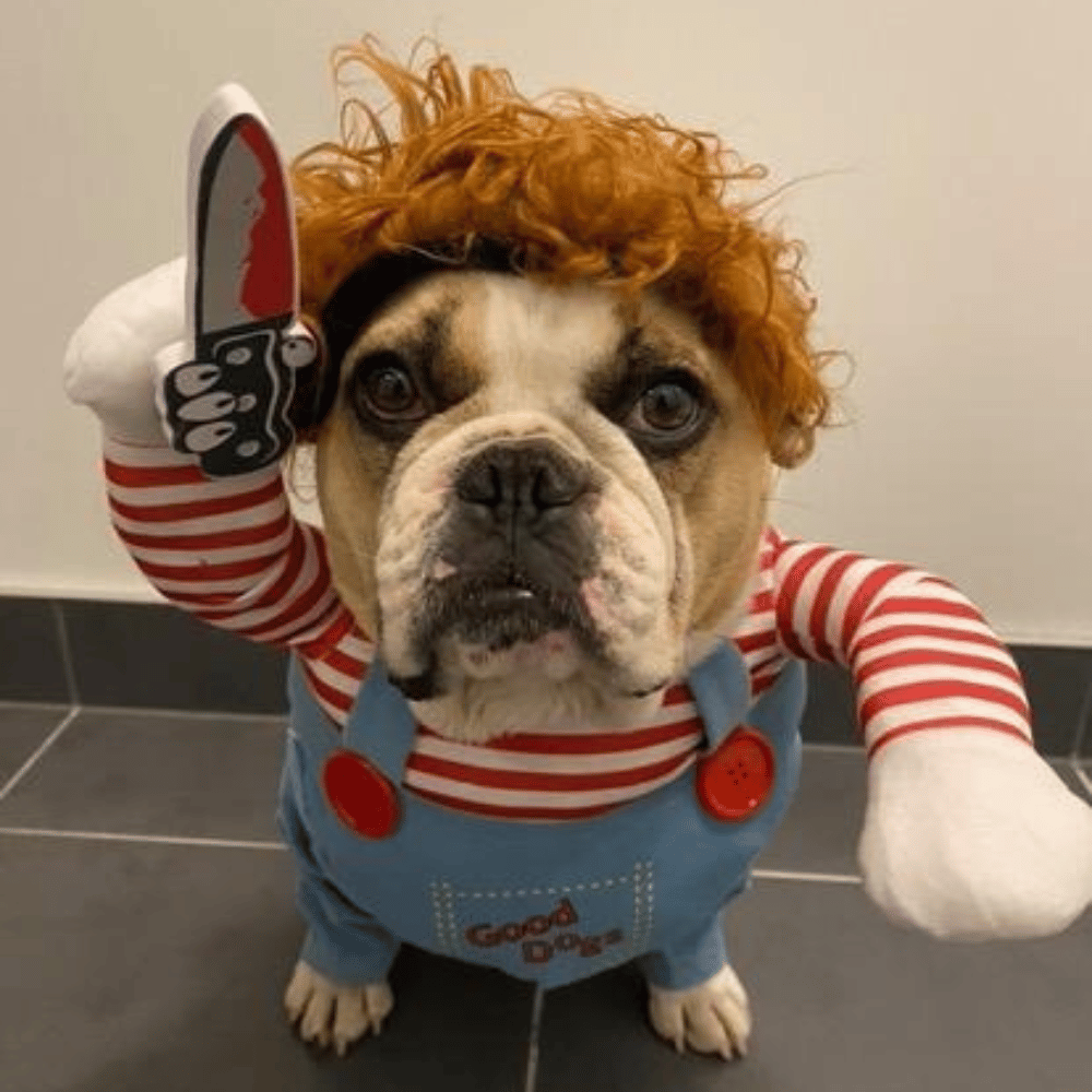 Chucky Dog Costume - Costumes from Halloween at DoggyTopia