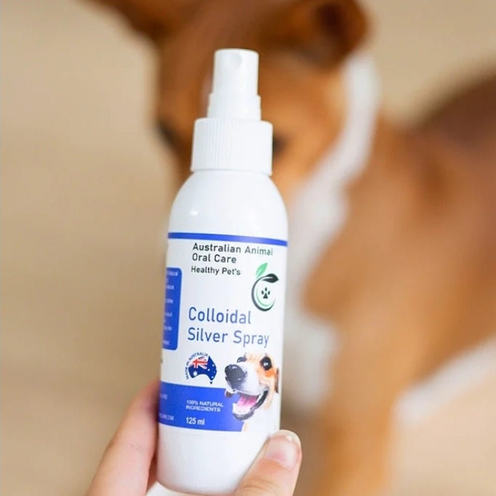 Colloidal Silver Spray - Calming Mist from Australian Animal Oral Care at DoggyTopia