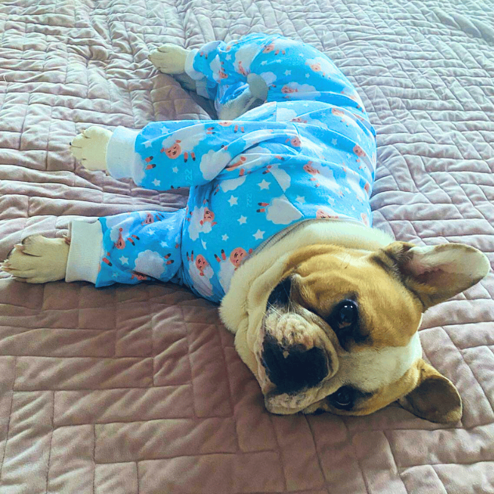 Counting Sheep Dog Pyjamas - Blue - Pyjamas from Sale at DoggyTopia