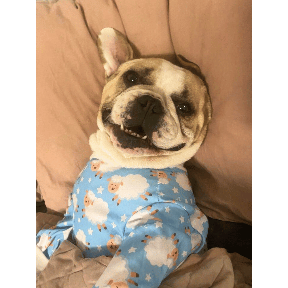 Counting Sheep Dog Pyjamas - Blue - Pyjamas from Sale at DoggyTopia