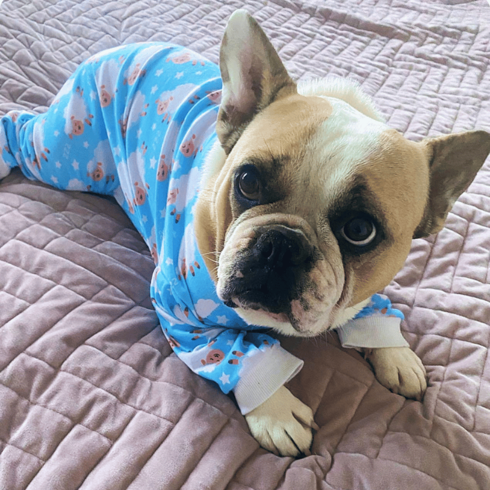 Counting Sheep Dog Pyjamas - Blue - Pyjamas from Sale at DoggyTopia