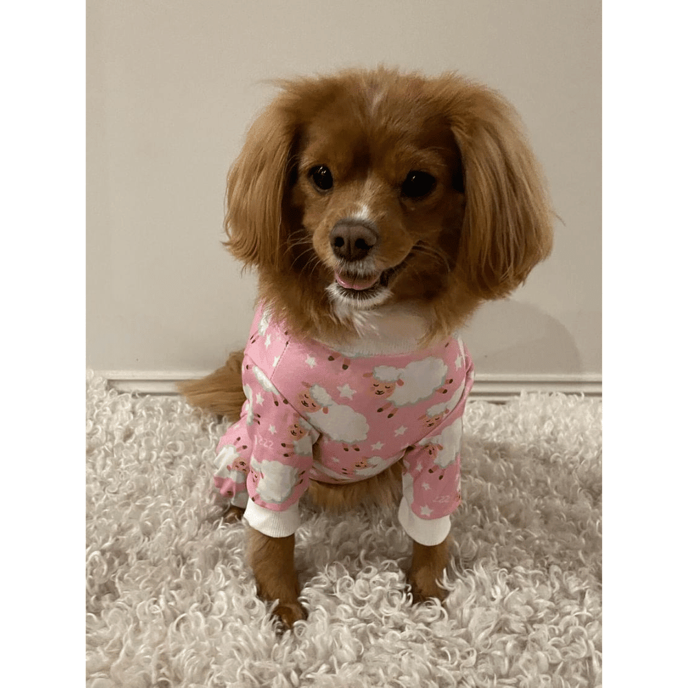 Counting Sheep Dog Pyjamas - Pink - Pyjamas from Sale at DoggyTopia
