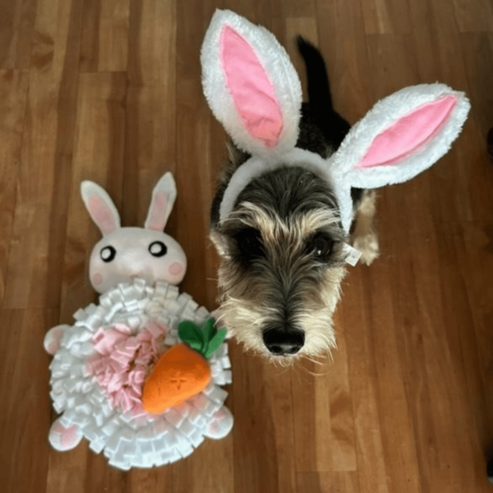 Dog Bunny Ears - Easter Costumes from . at DoggyTopia
