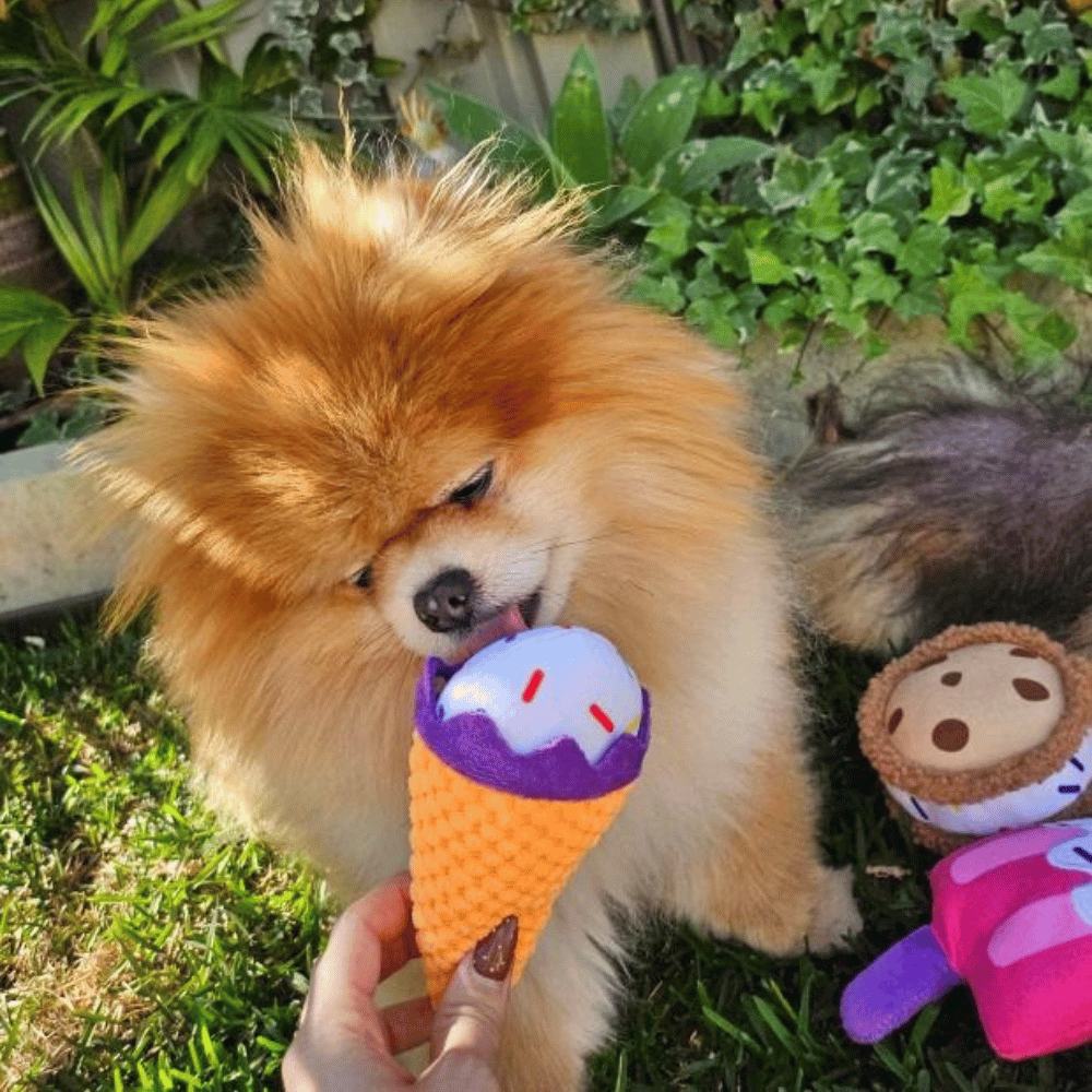 Dog Ice Cream Truck Burrow Toy - Interactive Toys from . at DoggyTopia