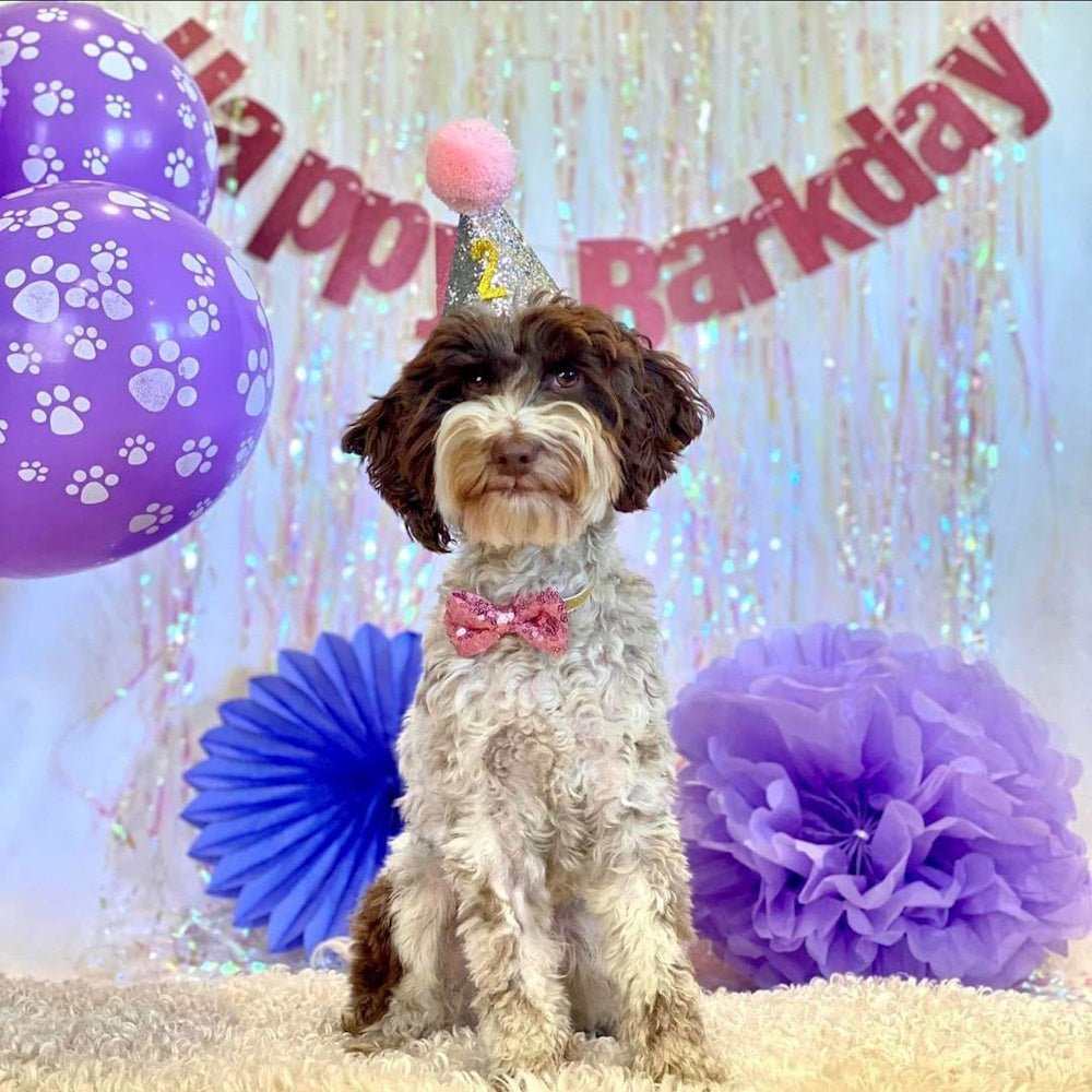 Dog Party Hat & Bow Tie Collar - Custom Age - Dog Party Hats from . at DoggyTopia