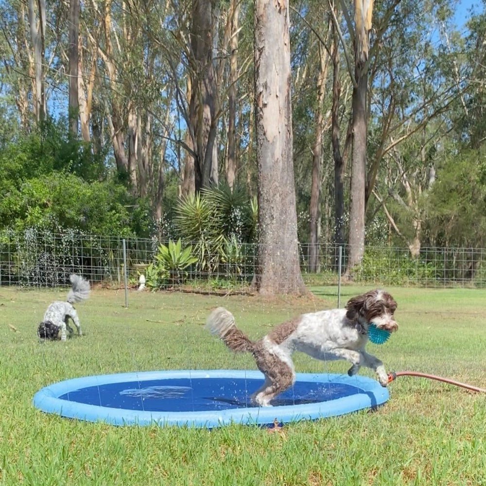 Dog Sprinkler Splash Mat - Splash Mat from . at DoggyTopia