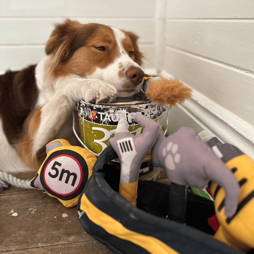 Dog Tool Box Set - Tough Toys from . at DoggyTopia