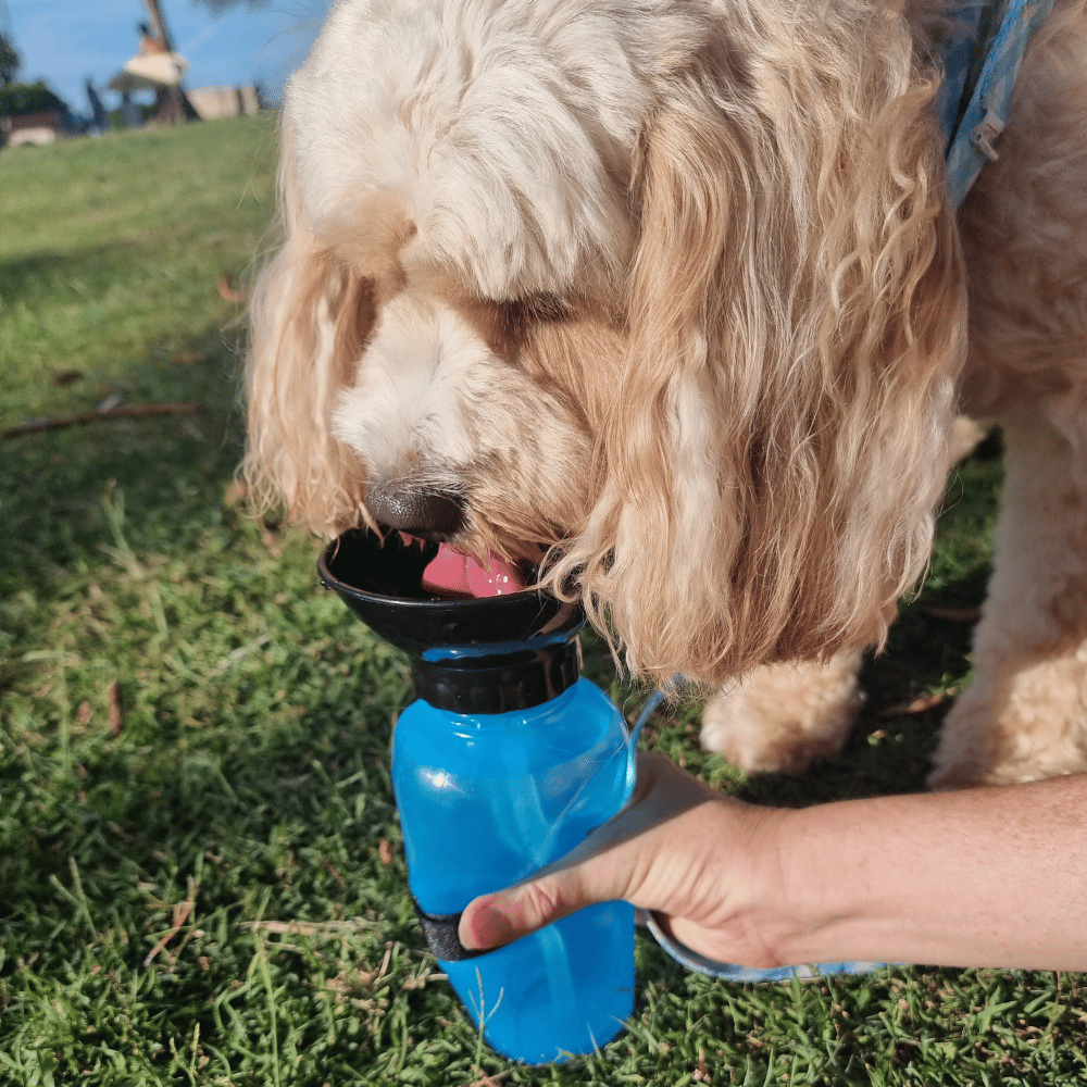 Dog Travel Water Squeeze Bottle 500ml - Travel Bottles from . at DoggyTopia