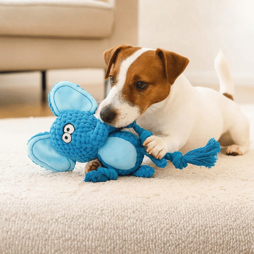 Elliot Elephant Rope Corduroy Dog Toy - Plush and Rope Toys from . at DoggyTopia