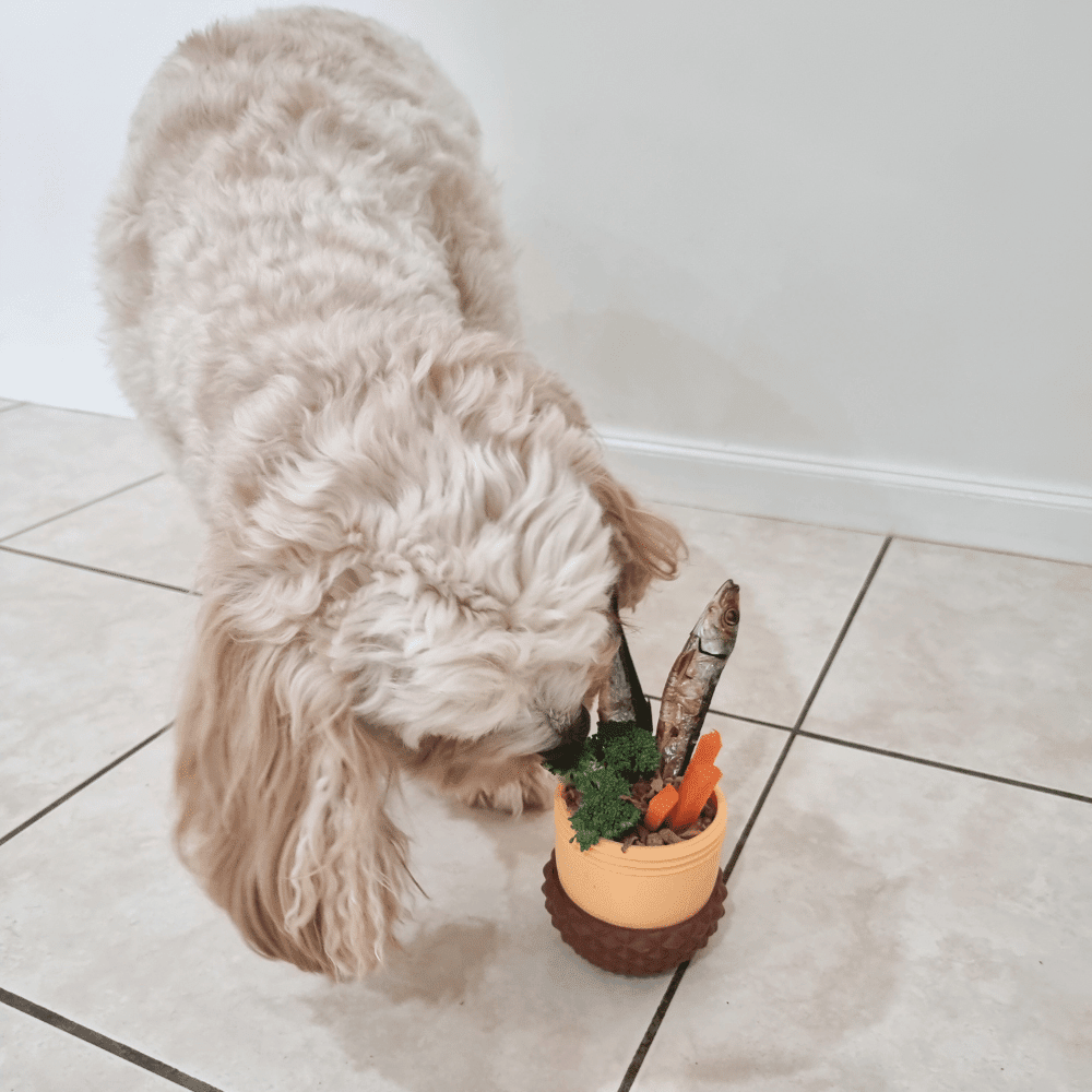 Enrichment Acorn Dog Toy - Enrichment Toys from Sale at DoggyTopia