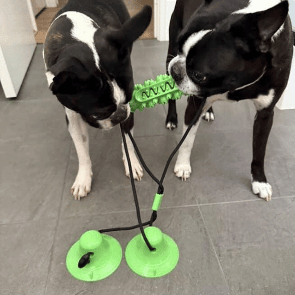 Enrichment Barrel Double Suction Tug Toy - Suction Enrichment Toys from . at DoggyTopia