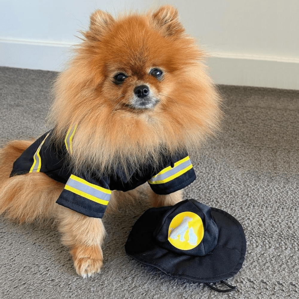 Fire Fighter Dog Costume - Costumes from Sale at DoggyTopia