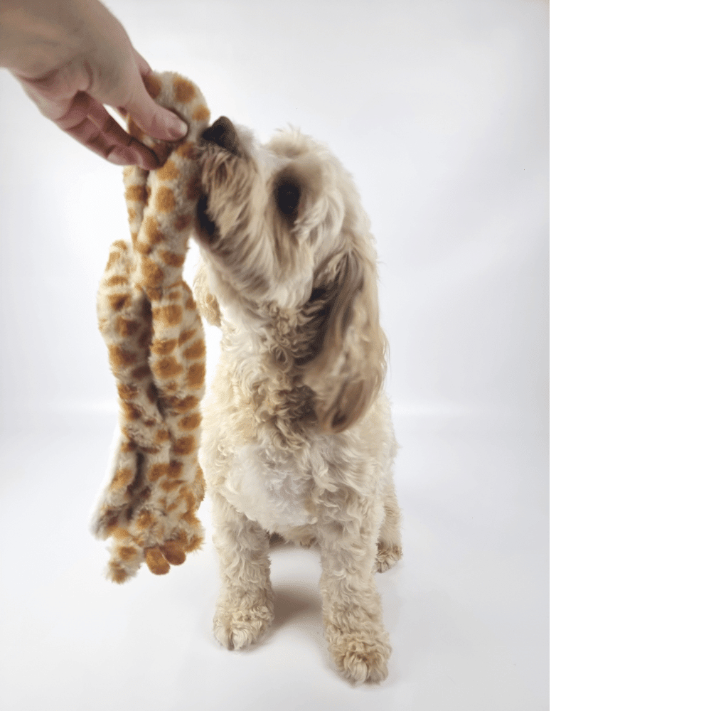 Floppy Giraffe Plush Dog Toy - Plush Toys from . at DoggyTopia