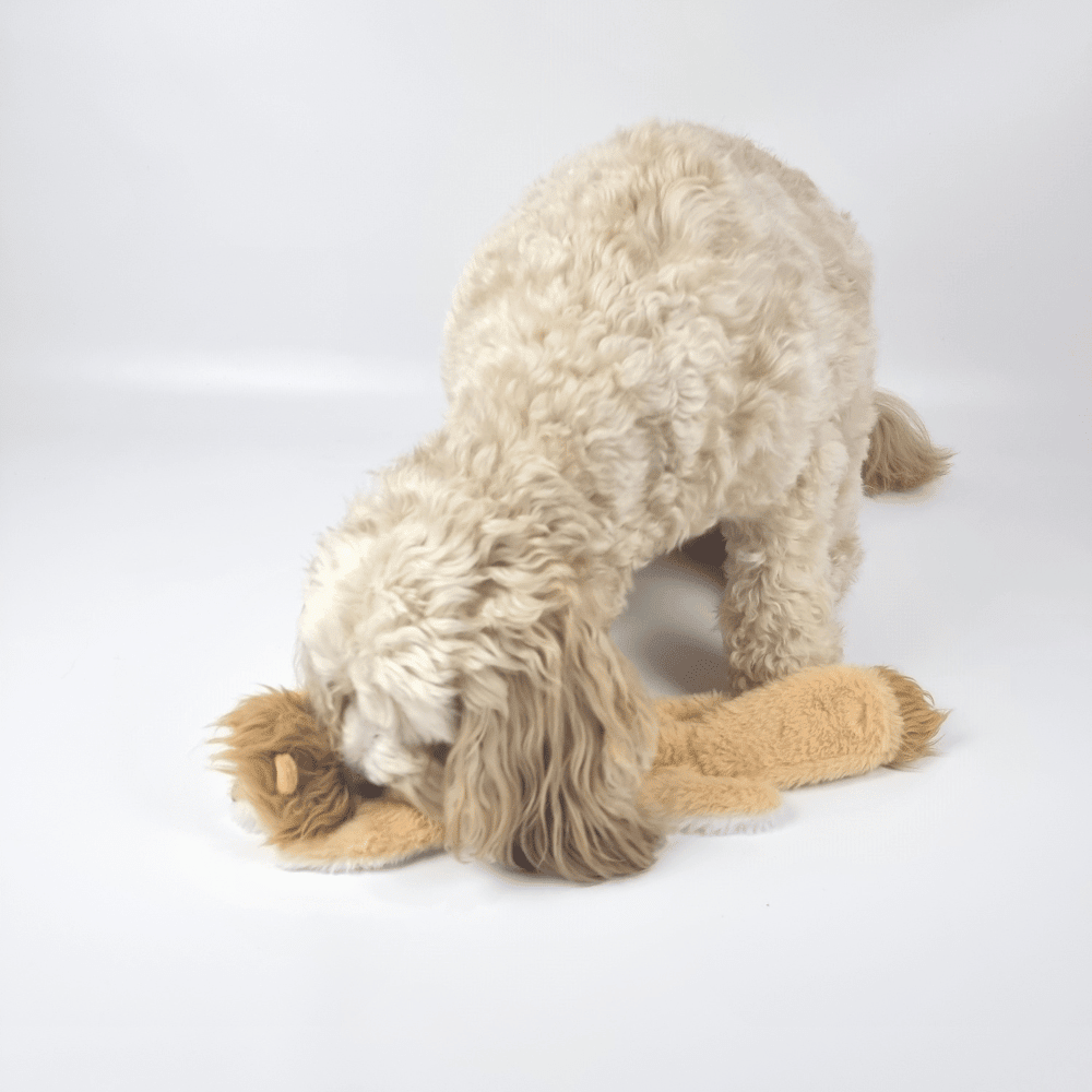 Floppy Lion Plush Dog Toy - Plush Toys from . at DoggyTopia