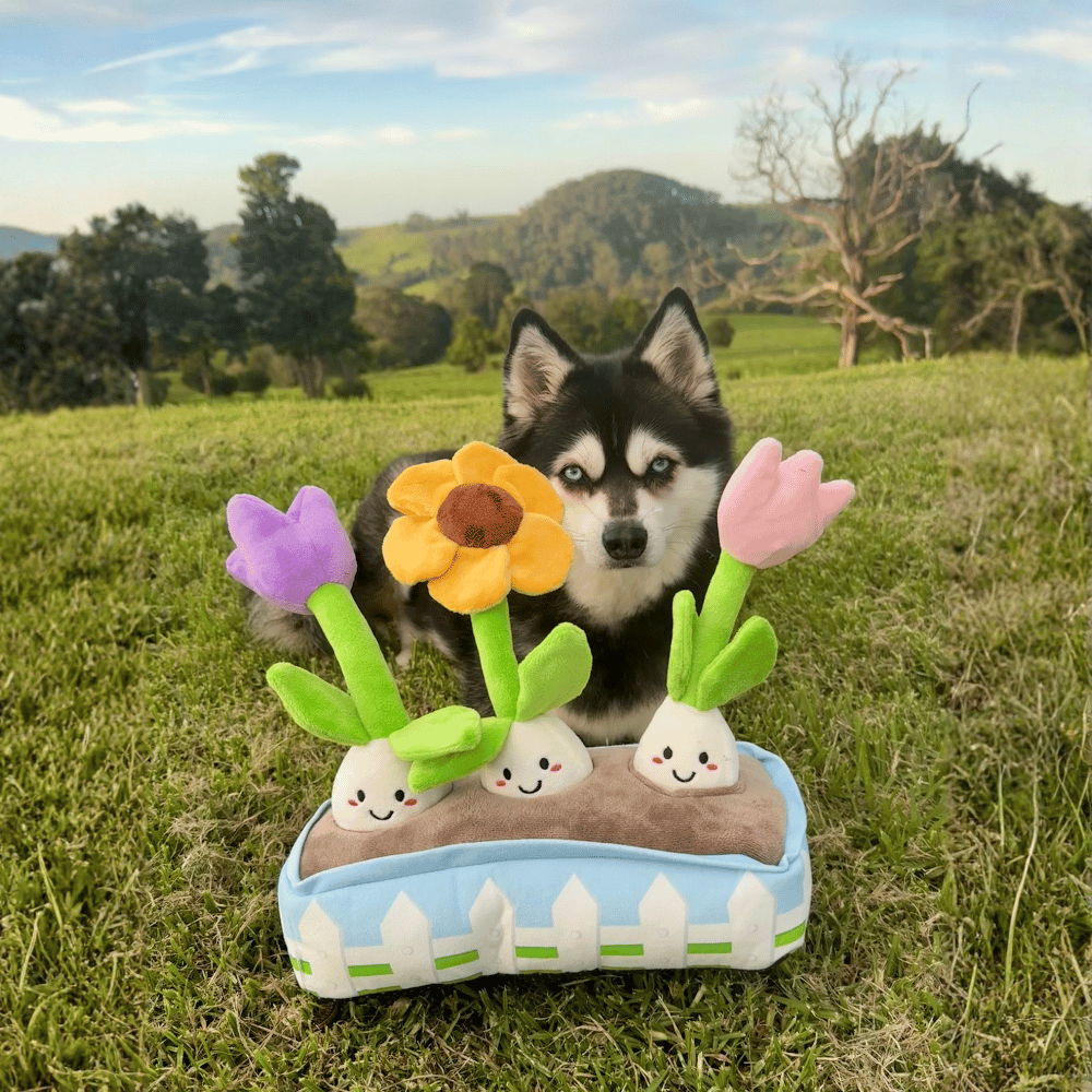 Flower Garden Nose Work Dog Toy - Foraging Toy from . at DoggyTopia
