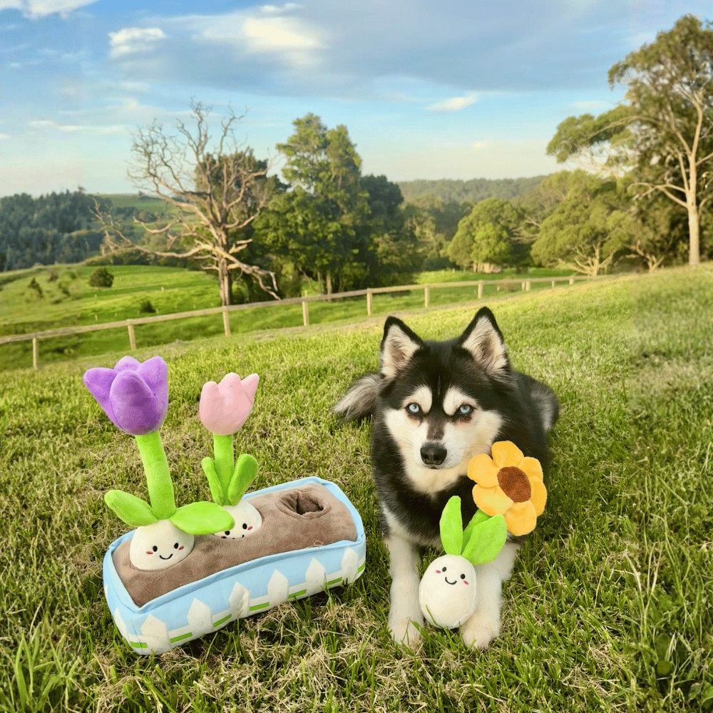 Flower Garden Nose Work Dog Toy - Foraging Toy from . at DoggyTopia