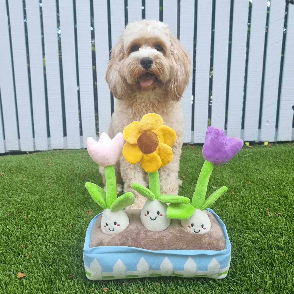Flower Garden Nose Work Dog Toy - Foraging Toy from . at DoggyTopia