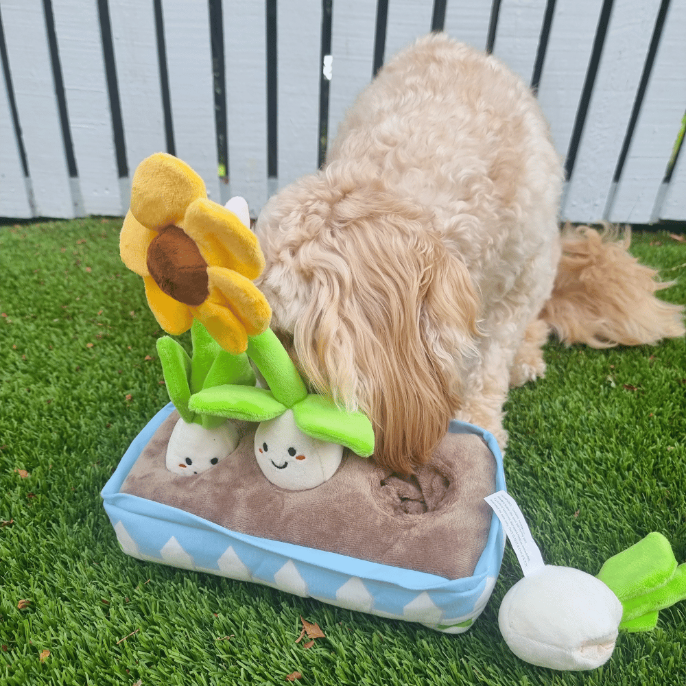 Flower Garden Nose Work Dog Toy - Foraging Toy from . at DoggyTopia