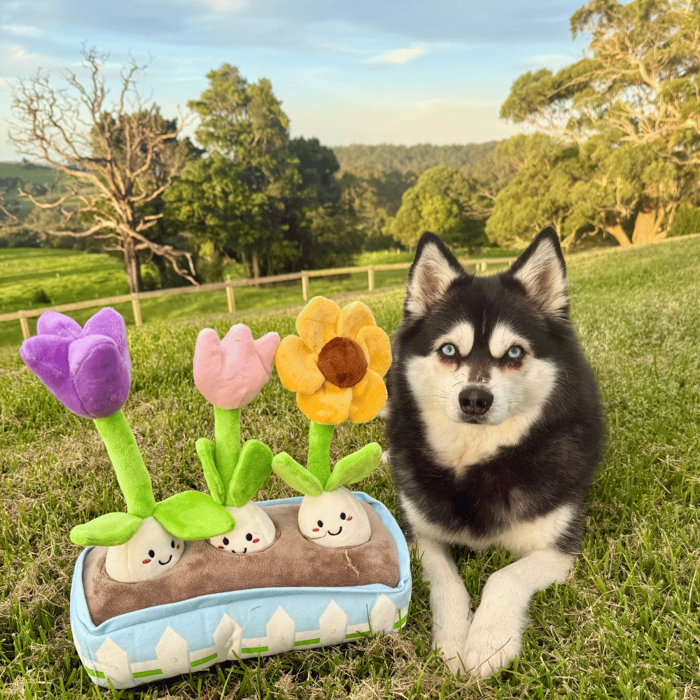 Flower Garden Nose Work Dog Toy - Foraging Toy from . at DoggyTopia
