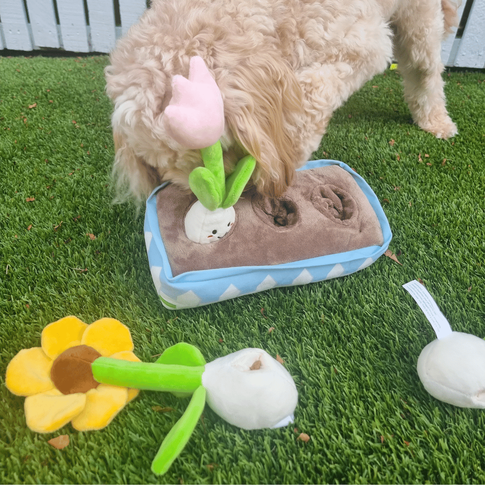 Flower Garden Nose Work Dog Toy - Foraging Toy from . at DoggyTopia