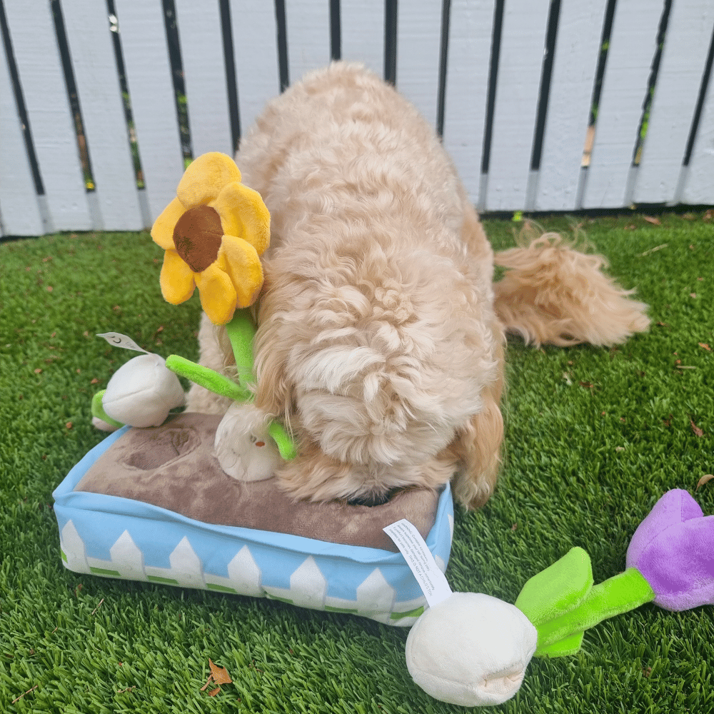 Flower Garden Nose Work Dog Toy - Foraging Toy from . at DoggyTopia