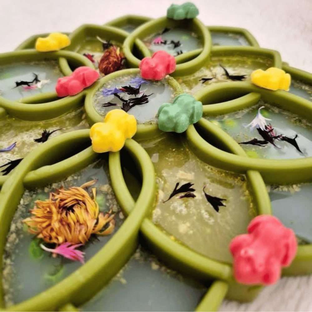 Frogs Dog Lollies - Lollies from DoggyTopia at DoggyTopia