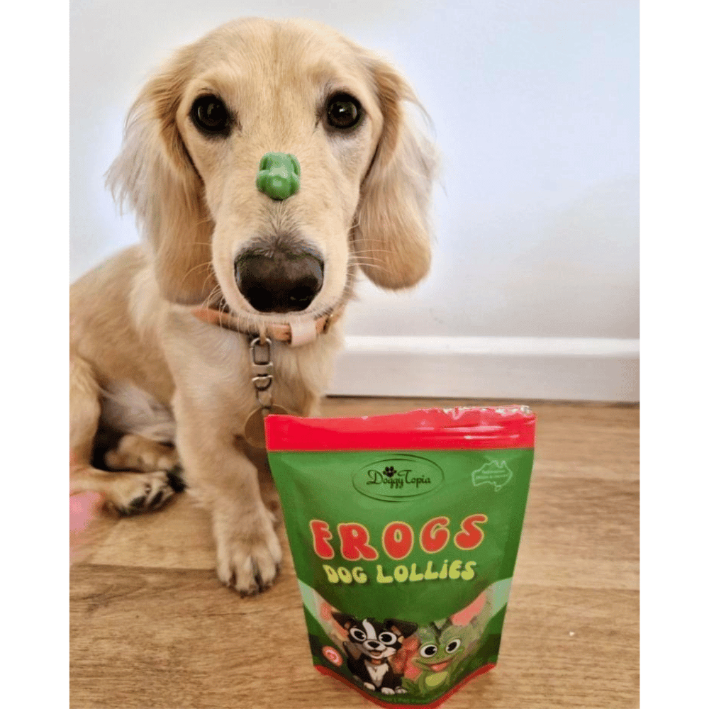 Frogs Dog Lollies - Lollies from DoggyTopia at DoggyTopia