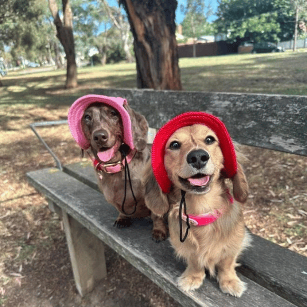 Full Brim Dog Sun Hat Pink - Dog Sun Hat from . at DoggyTopia