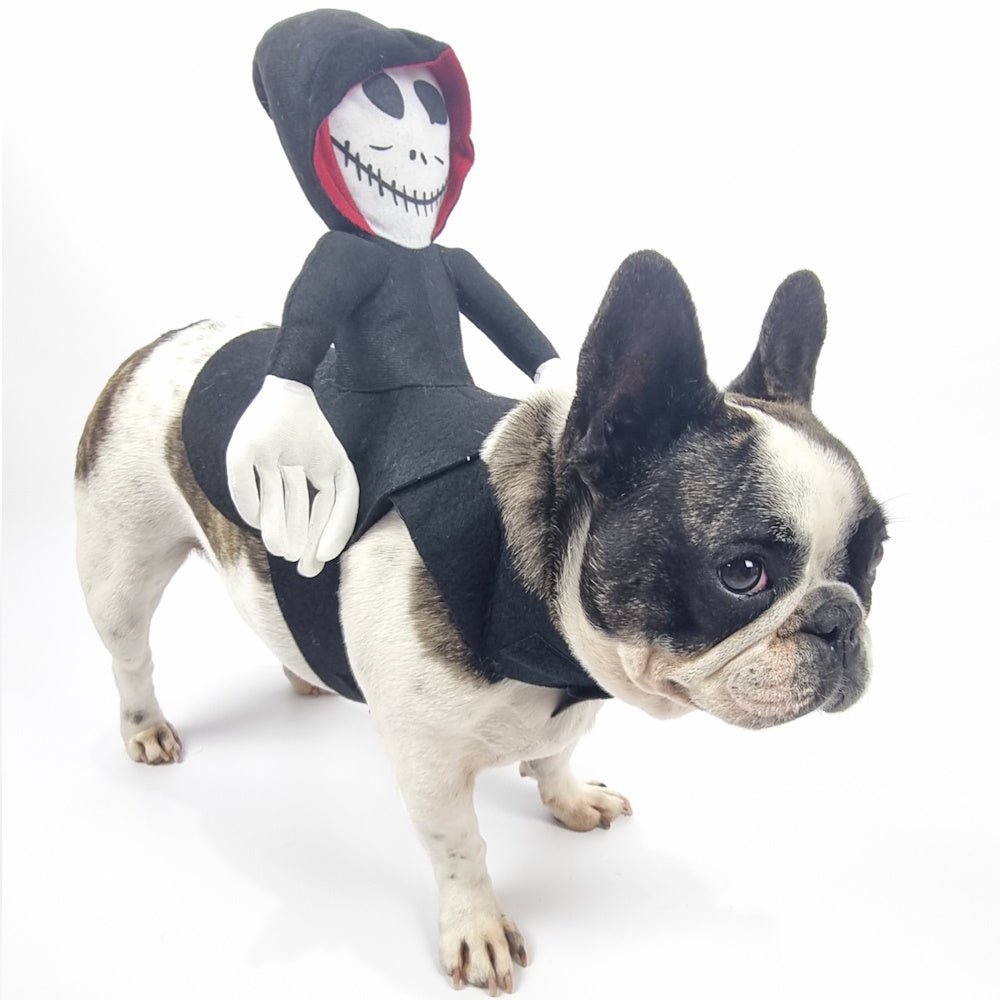 Ghoul Ride - On Dog Costume - Costumes from . at DoggyTopia