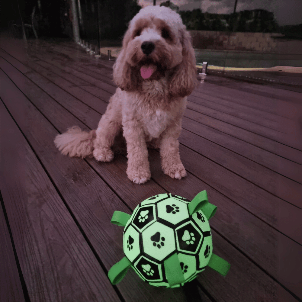 Glow In The Dark Interactive Dog Soccer Ball With Grab Tabs - Interactive Toys from . at DoggyTopia