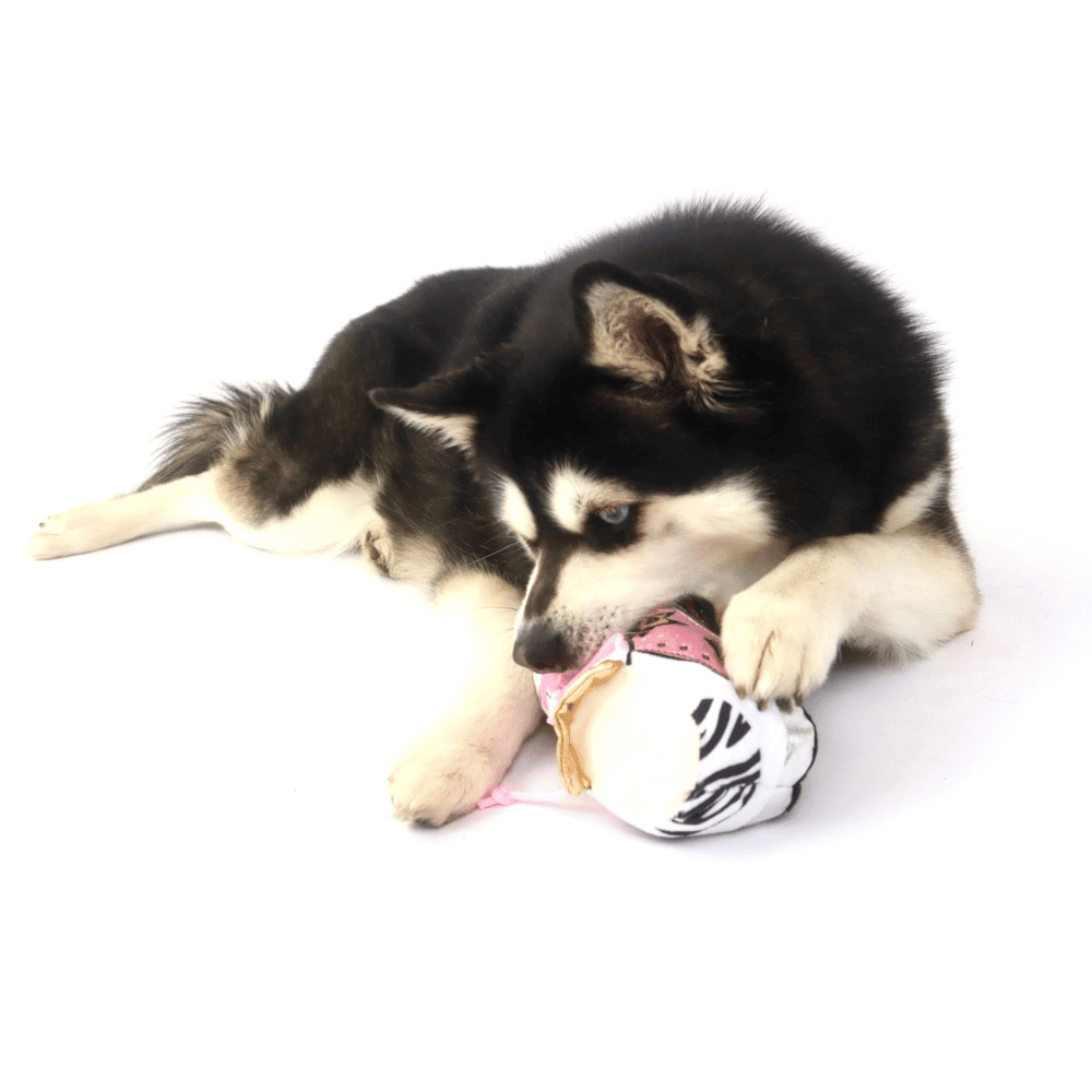 Golden Pooch Shoe Dog Toy - Designer Toys from Haute Diggity Dog at DoggyTopia