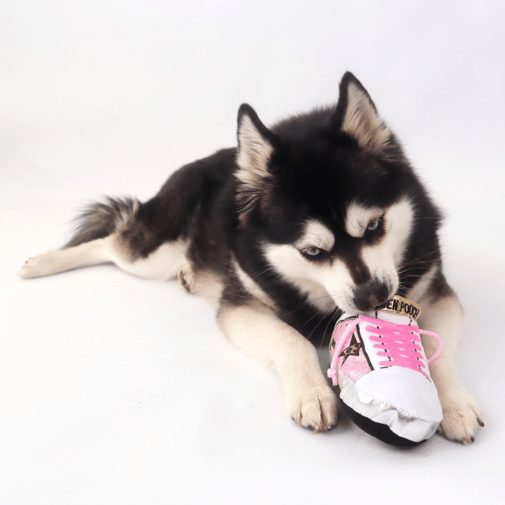 Golden Pooch Shoe Dog Toy - Designer Toys from Haute Diggity Dog at DoggyTopia