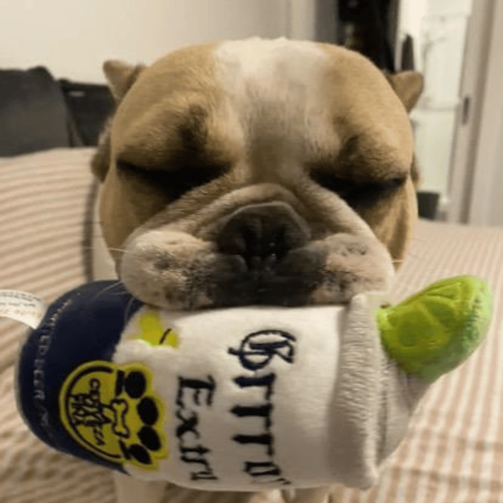 Grrrona Can Dog Toy - Designer Toys from Haute Diggity Dog at DoggyTopia