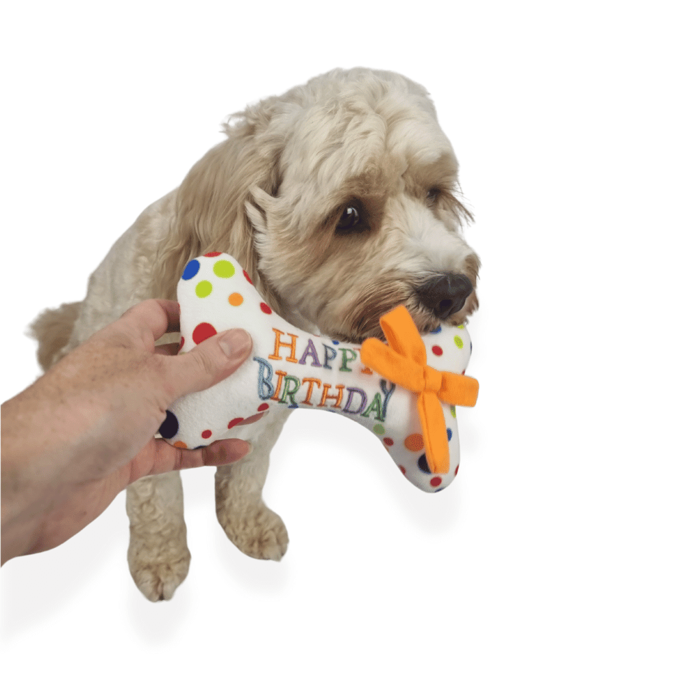 Happy Birthday Bone Dog Toy - Birthday Toys from . at DoggyTopia