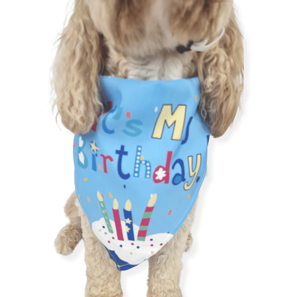 Happy Birthday Cake Hat & Bandana Set - Blue - Dog Party Hats from . at DoggyTopia