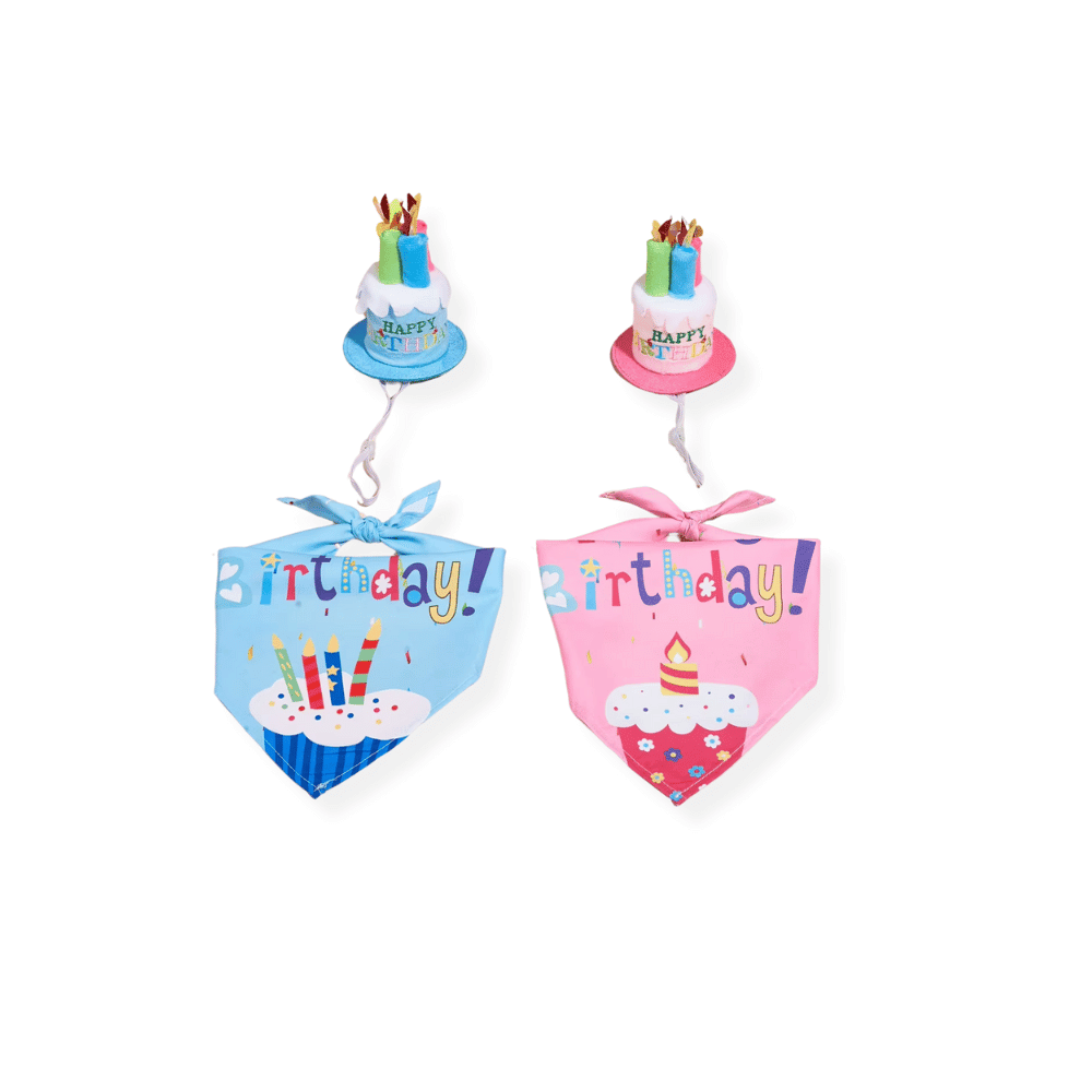 Happy Birthday Cake Hat & Bandana Set - Blue - Dog Party Hats from . at DoggyTopia