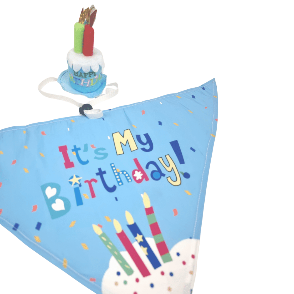Happy Birthday Cake Hat & Bandana Set - Blue - Dog Party Hats from . at DoggyTopia