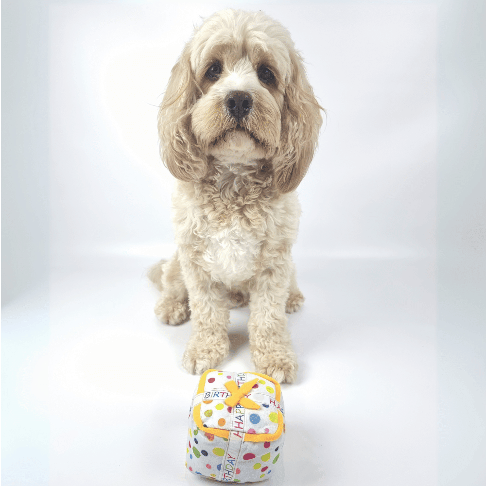 Happy Birthday Gift Box Dog Toy - Birthday Toys from . at DoggyTopia