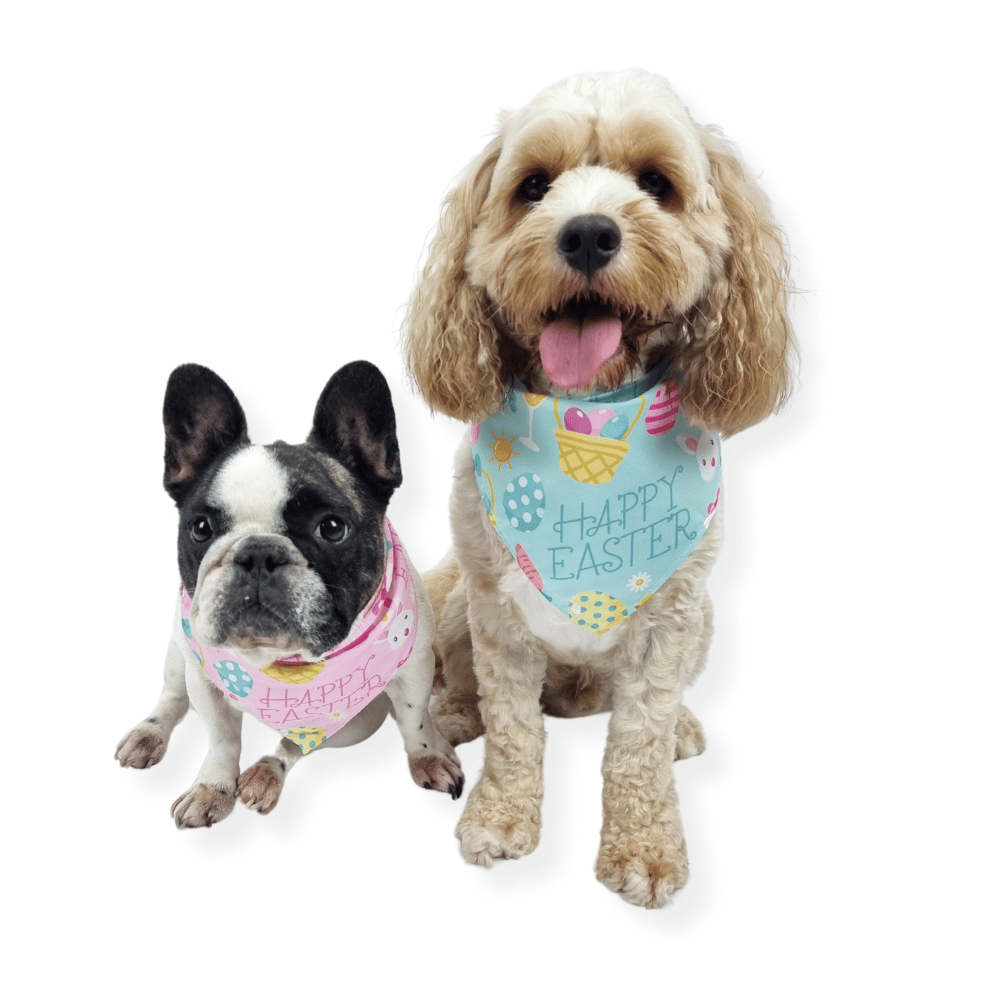 Happy Easter Bandana - Blue - Bandanas from . at DoggyTopia