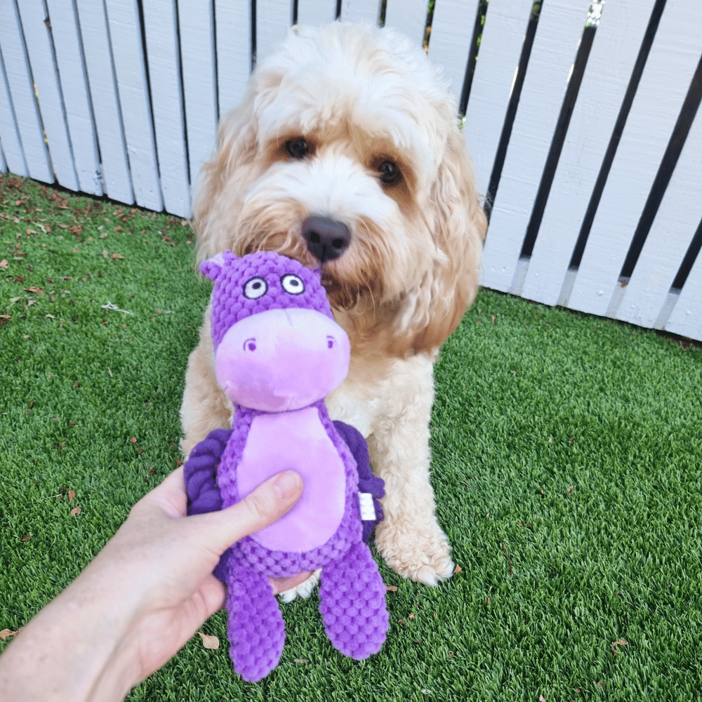 Henry Hippo Rope Corduroy Dog Toy - Plush and Rope Toys from . at DoggyTopia
