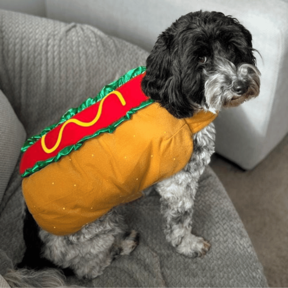 Hot Dog Costume - Costumes from Halloween at DoggyTopia