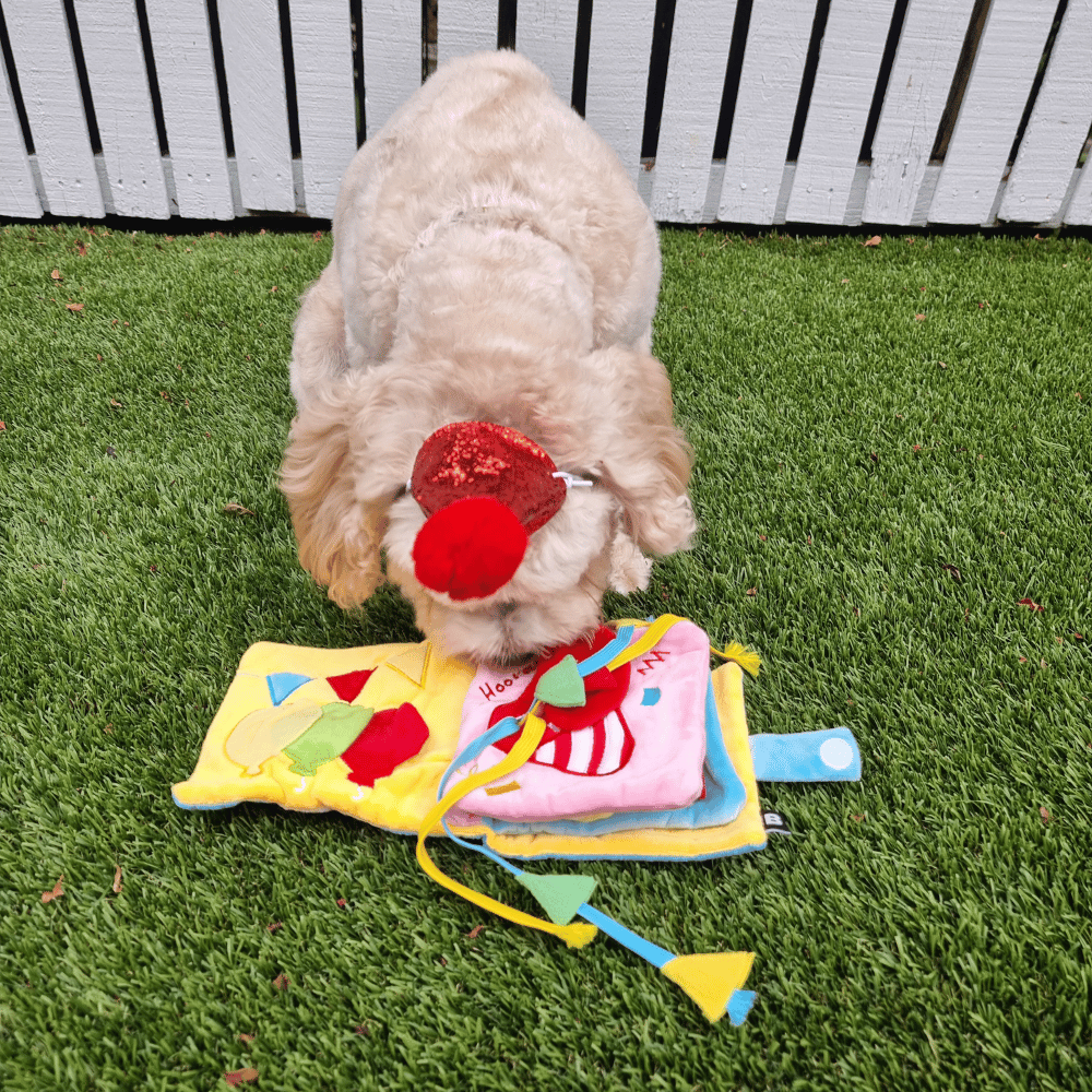 It's My Birthday Nose Work Book Toy - Foraging Toy from Christmas at DoggyTopia
