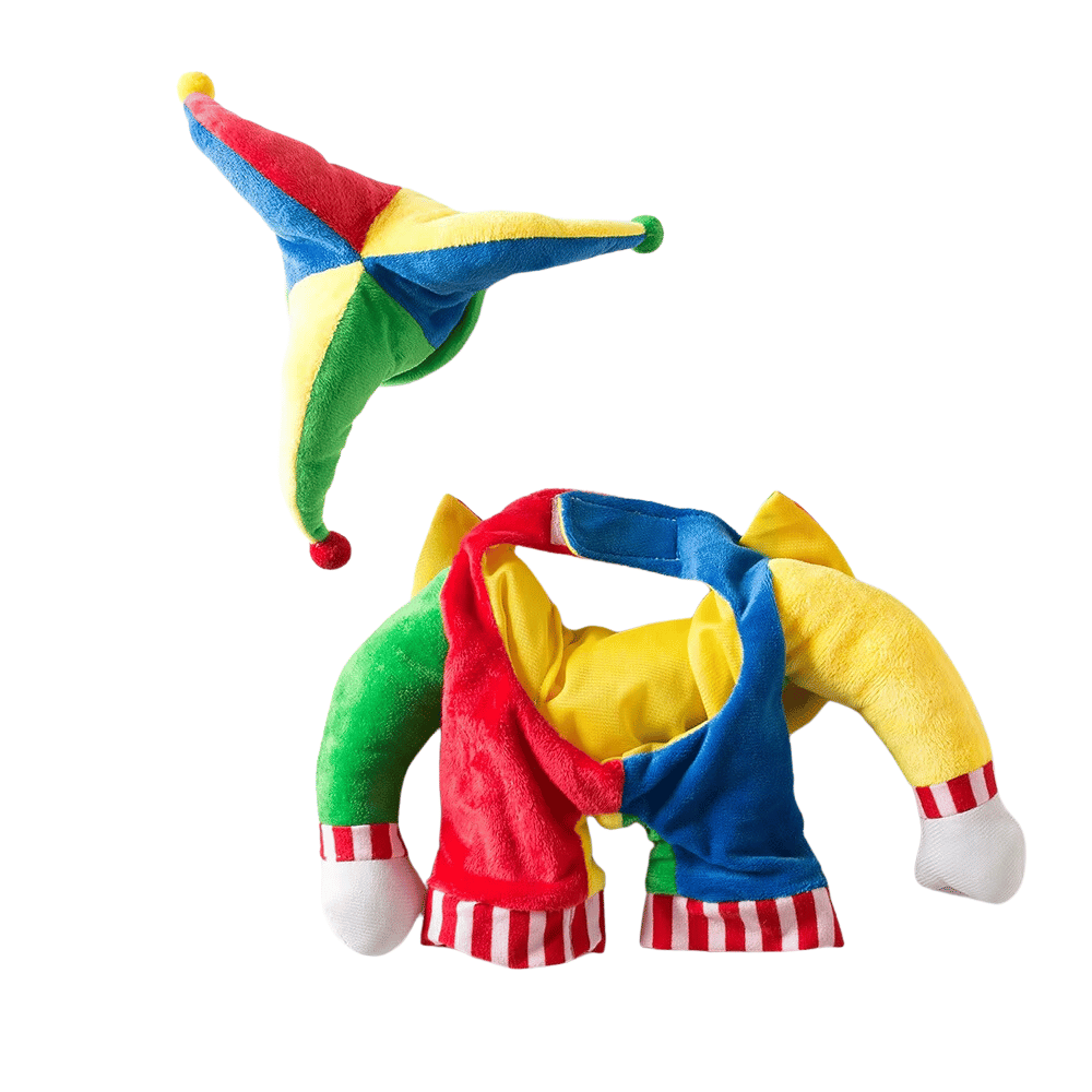 Jester Dog Costume - Costumes from Sale at DoggyTopia