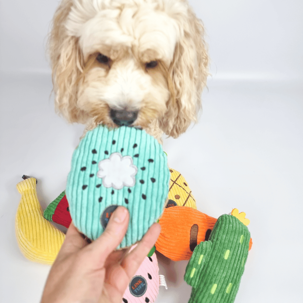 Kiwi Fruit Plush Dog - Plush Toys from . at DoggyTopia